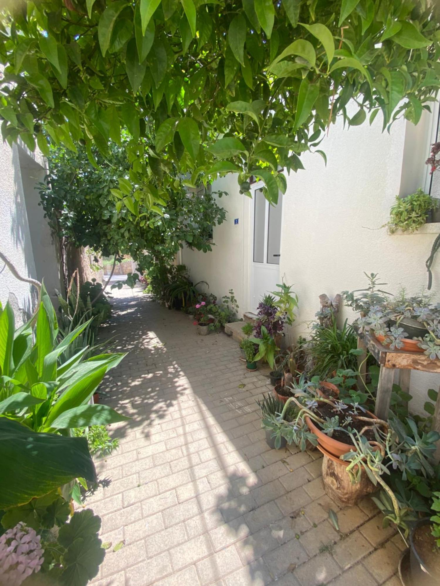 Grandmother'S House Gazimağusa Dış mekan fotoğraf